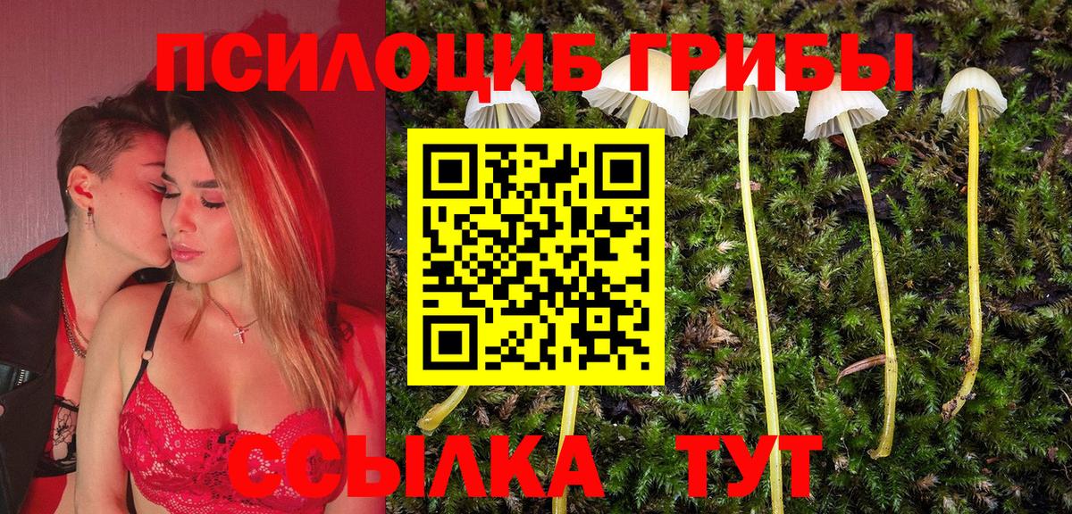 Меф Архангельск