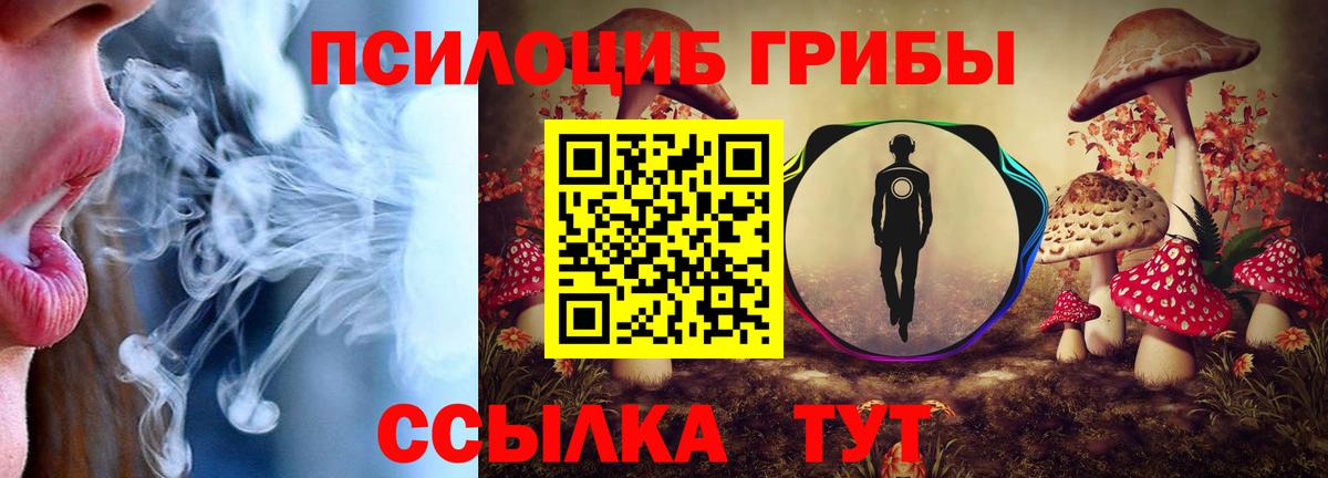 Псилоцибиновые грибы MAGIC MUSHROOMS  Псилоцибиновые грибы MAGIC MUSHROOMS  Архангельск  Вход с VPN 